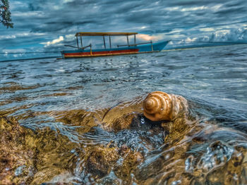 Man swimming in sea