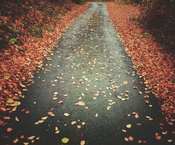 Surface level of road