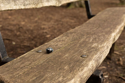 High angle view of wood on bench