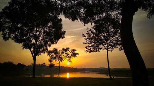 Silhouette tree by lake against sky during sunset