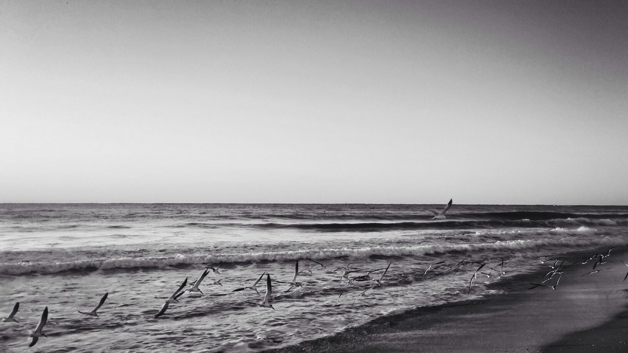 sea, horizon over water, beach, water, shore, clear sky, copy space, tranquil scene, sand, tranquility, scenics, beauty in nature, wave, nature, sky, idyllic, coastline, day, remote, surf