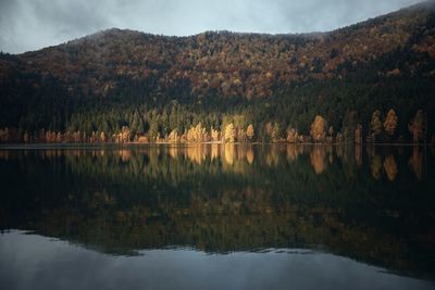 Scenic view of lake by trees against sky