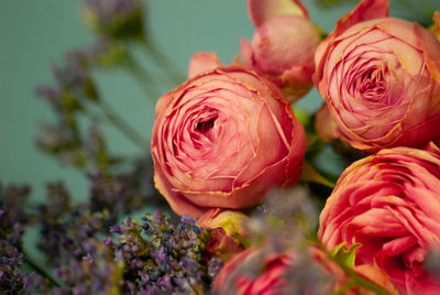 Close-up of rose bouquet