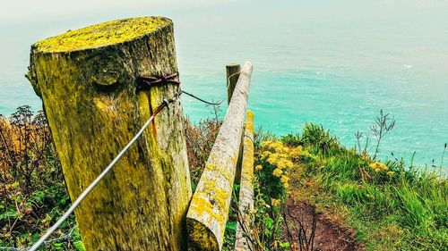 Close-up of barbed wire fence