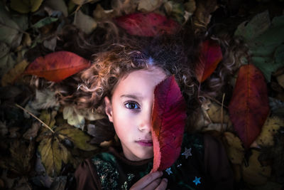 Directly above portrait of girl holding dry leaf while lying in park