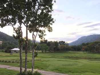 Scenic view of grassy field against cloudy sky