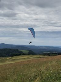 Bird flying over field against sky