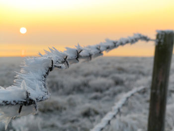 Close-up of barbed wire fence at sunset