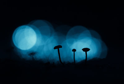 An artistic silhouettes of small mushrooms with colorful bokeh in the background. 