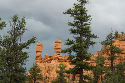 Statue by trees against sky