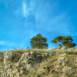 Low angle view of trees on landscape against blue sky