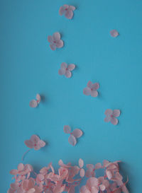 Directly above shot of cookies on blue background