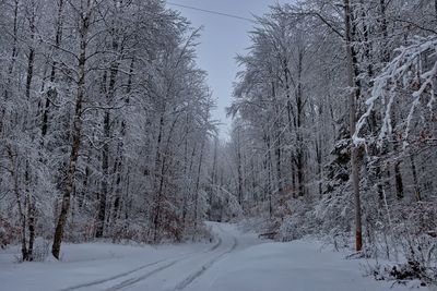 Snow covered road amidst trees in forest