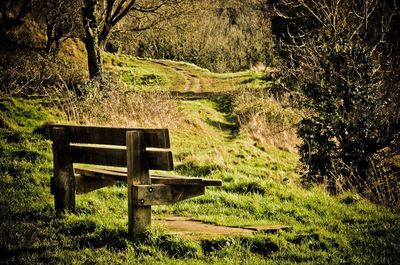 Wooden bench in park