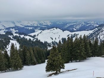 Scenic view of snow covered mountains