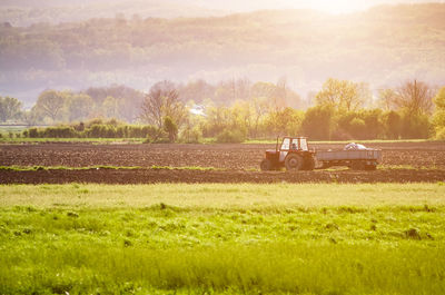 Scenic view of agricultural field against sky