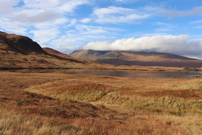 Scenic view of landscape against sky