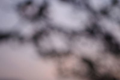 Defocused image of sunlight