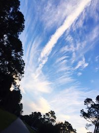 Road by trees against cloudy sky