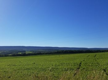 Scenic view of agricultural field against clear blue sky