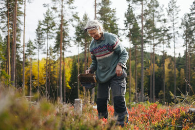 Senior woman picking berries