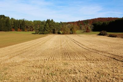 Scenic view of field against sky