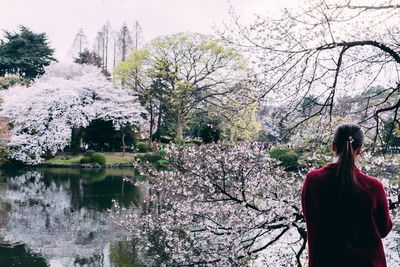 Woman standing by cherry tree in lake