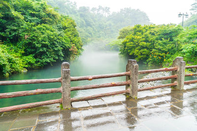 Scenic view of lake in forest