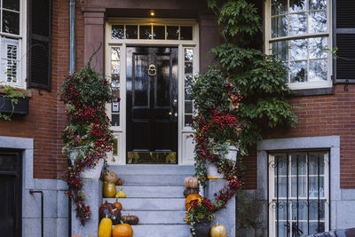 View of an entrance to apartment building. stoop with plants, flowers and pumpkins for thanksgiving