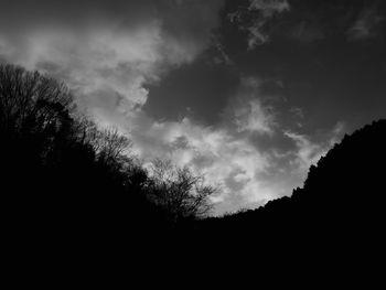 Low angle view of silhouette trees against sky