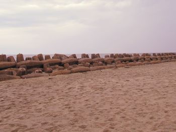 View of desert against cloudy sky