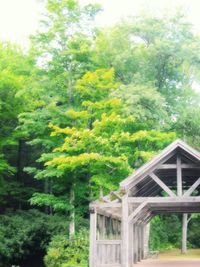 House with trees in background