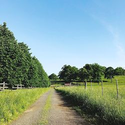 Footpath amidst field against sky