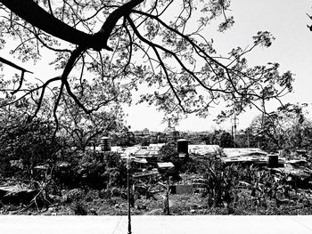 Built structure with bare trees in foreground