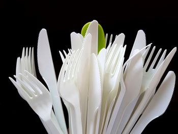 Close-up of plastic forks and spoons against white background