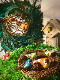 Close-up of basket in nest