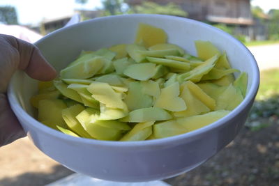 Close-up of hand holding soup in bowl