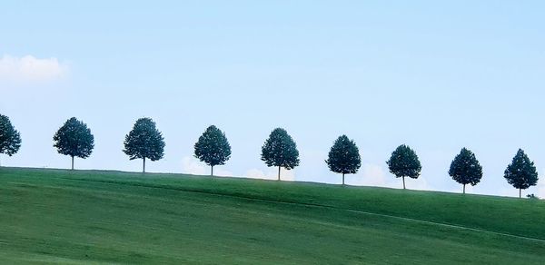Trees on field against sky