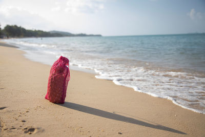 Mesh shopping bag with fruits stands on the sandy beach of the sea on a sunny day. ecology  oceans 