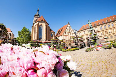 View of pink and white flowers against building