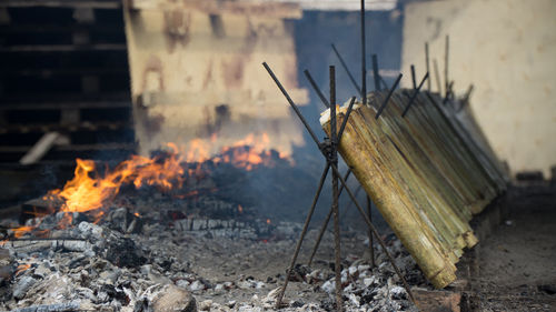 Bonfire on wooden log