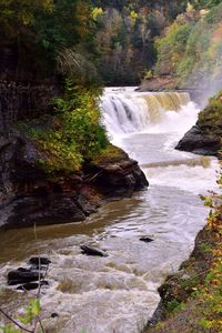 Scenic view of waterfall in forest