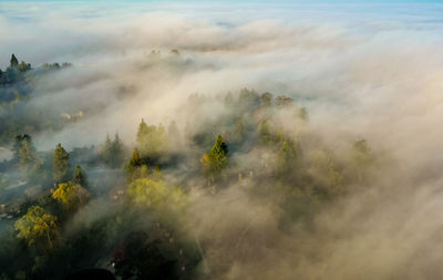 High angle view of trees on land against sky