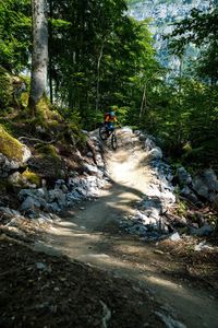 People riding bicycle in forest