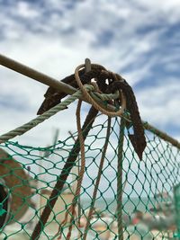 Close-up of lizard on metal against sky