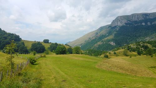 Scenic view of field against sky