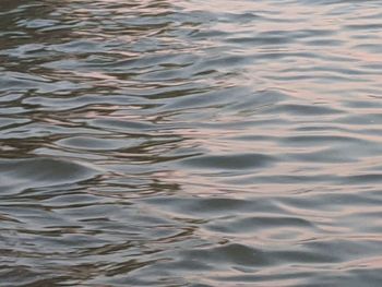 Full frame shot of rippled water