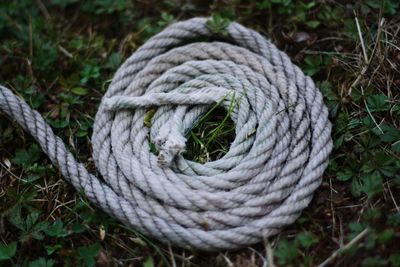 Close-up of rope tied up on wood