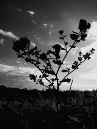 Scenic view of silhouette plants on field against sky