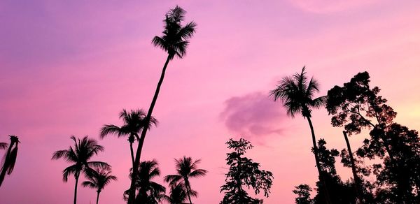 Low angle view of coconut palm trees against romantic sky